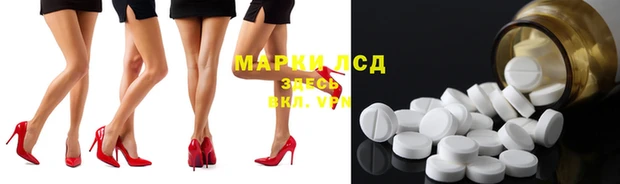 apvp Алзамай