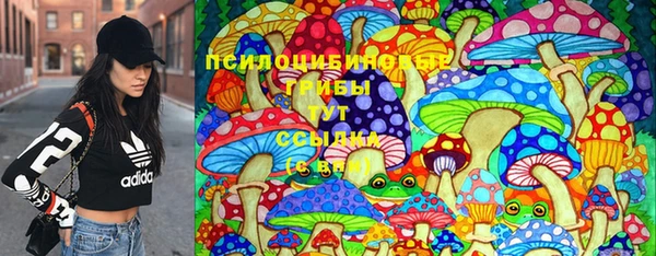 apvp Алзамай
