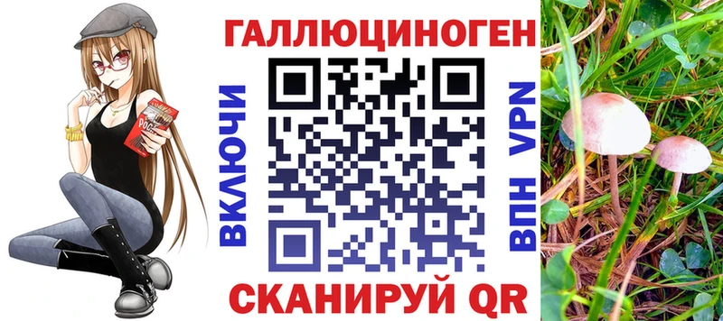 где купить наркоту  Железноводск  маркетплейс состав  Псилоцибиновые грибы мухоморы 
